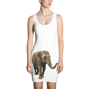 Indian-Elephant Print Sublimation Cut & Sew Dress