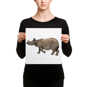 Indian-Rhinoceros Canvas