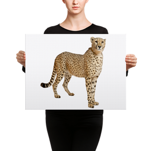 Cheetah Canvas