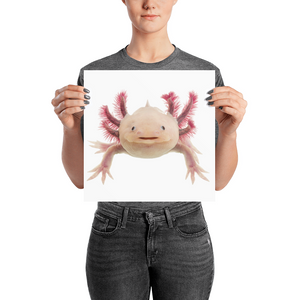 Axolotle Photo paper poster