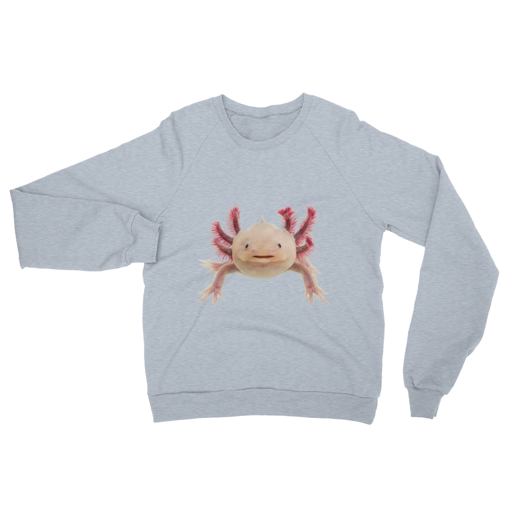 Axolotle Print Unisex California Fleece Raglan Sweatshirt