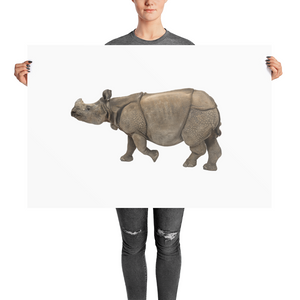 Indian-Rhinoceros Photo paper poster