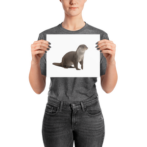 European-Otter Photo paper poster