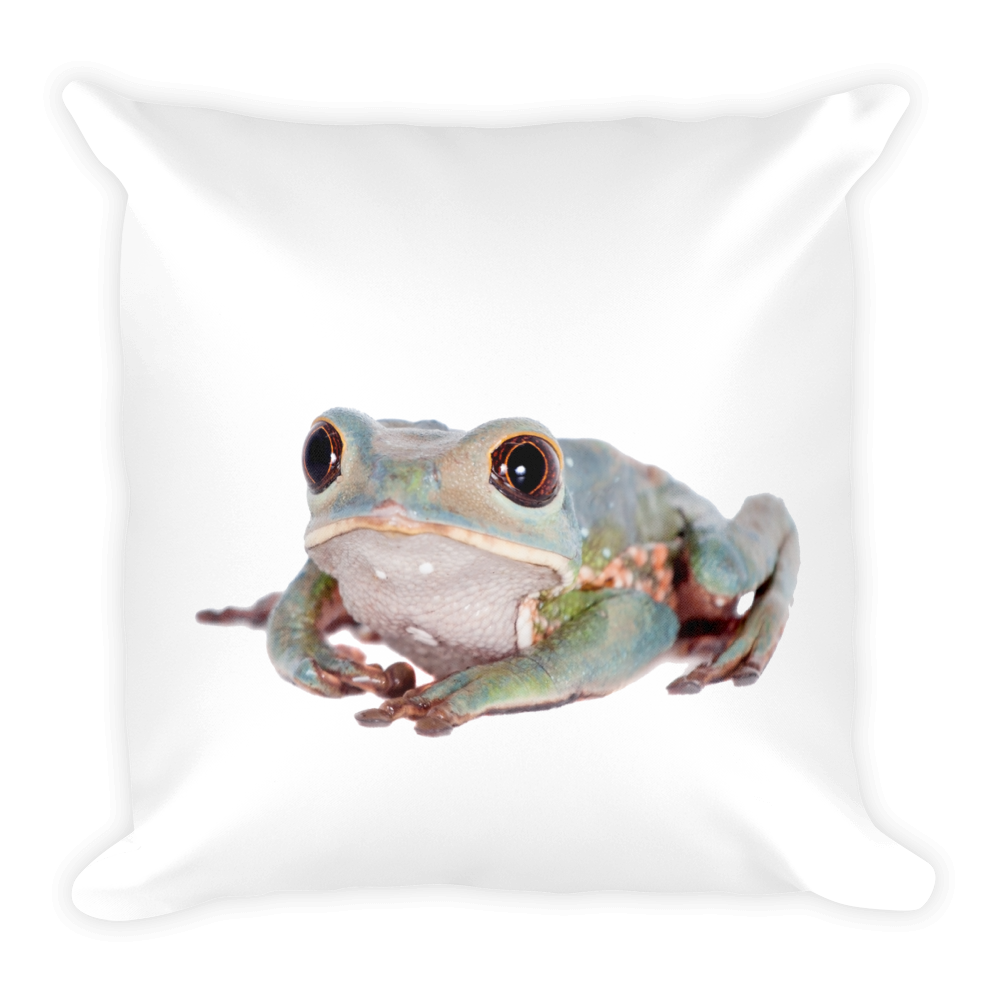 Tarsier-Frog- Print Square Pillow