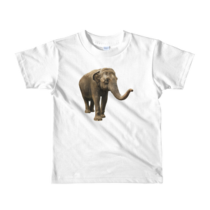 Indian-Elephant Print Short sleeve kids t-shirt