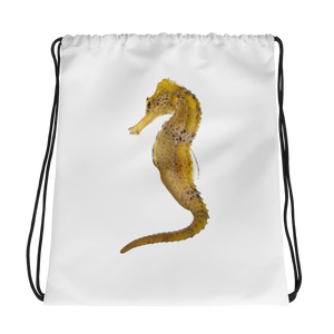 Seahorse Print  Drawstring bag