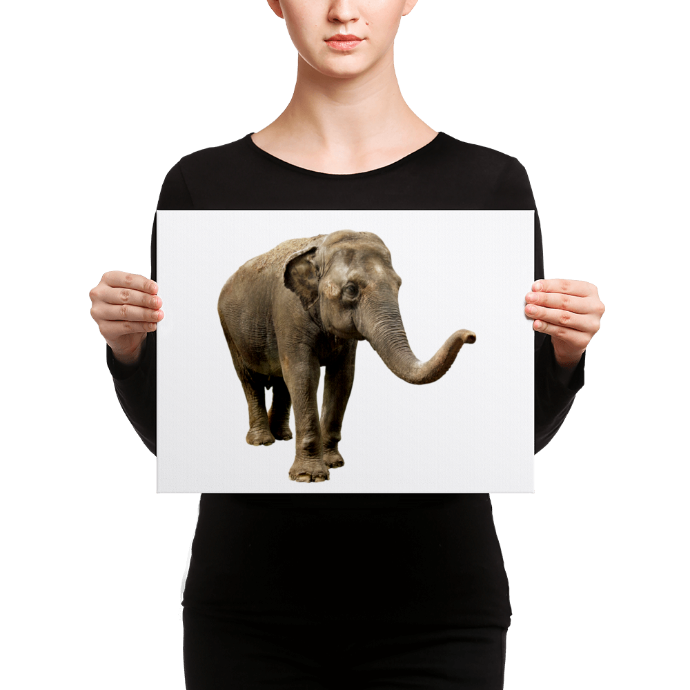 Indian-Elephant- Canvas
