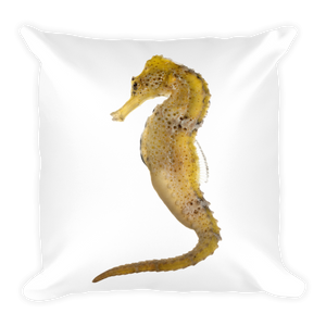 Seahorse Print Square Pillow