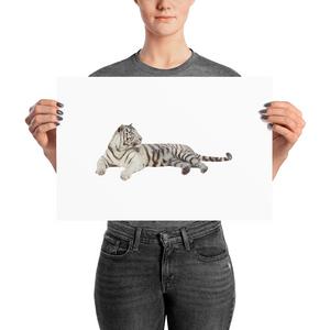 White-Tiger Photo paper poster