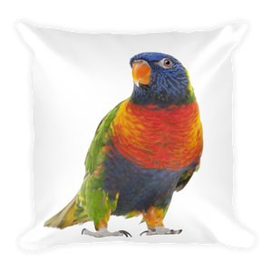 Parrot Print Square Pillow