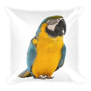 Macaw Print Square Pillow