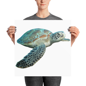 Sea-Turtle Photo paper poster