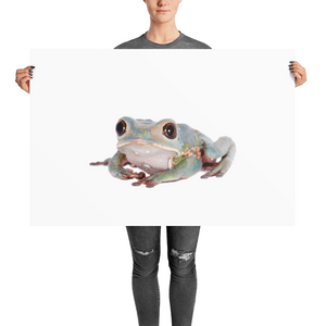 Tarsier-Frog Photo paper poster