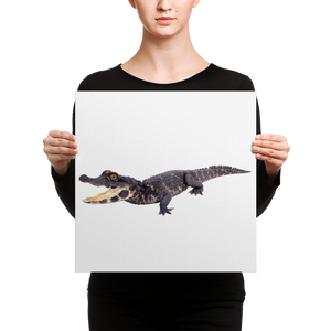 Dwarf-Crocodile Canvas