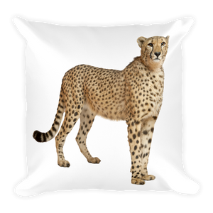 Cheetah Print Square Pillow