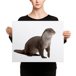 European-Otter Canvas