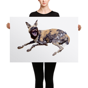 African-Wild-Dog Canvas