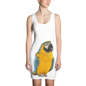 Macaw Print Sublimation Cut & Sew Dress