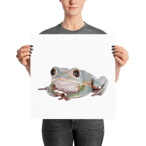 Tarsier-Frog Photo paper poster
