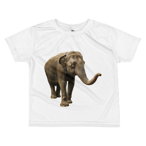 Indian-Elephant- Print All-over kids sublimation T-shirt