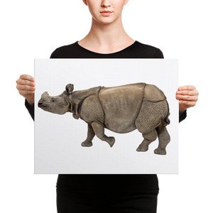 Indian-Rhinoceros Canvas