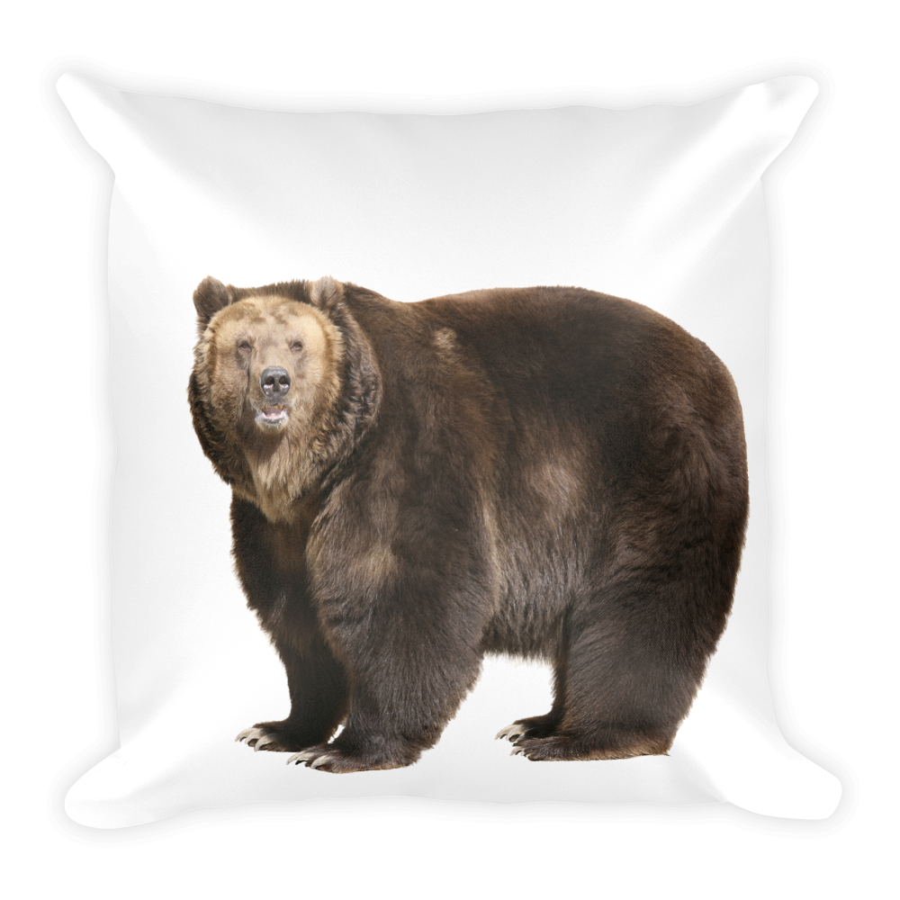 Brown-Bear Print Square Pillow
