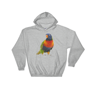 Parrot  print Hooded Sweatshirt