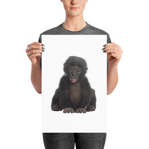 Bonobo Photo paper poster