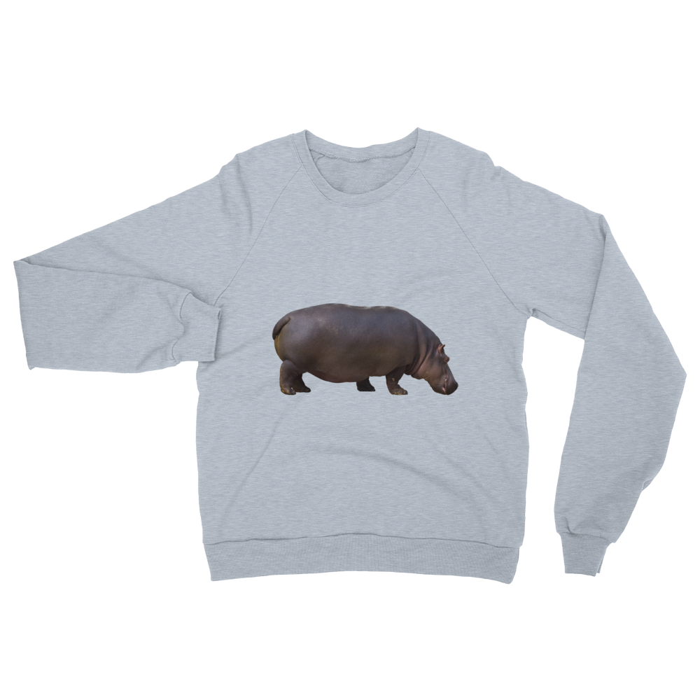 Hippopotamus print Unisex California Fleece Raglan Sweatshirt