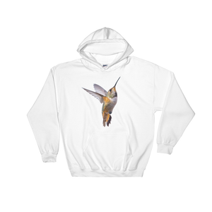 Hummingbird Print Hooded Sweatshirt