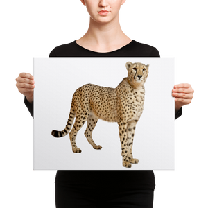 Cheetah Canvas