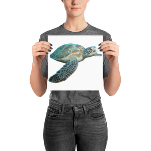 Sea-Turtle Photo paper poster