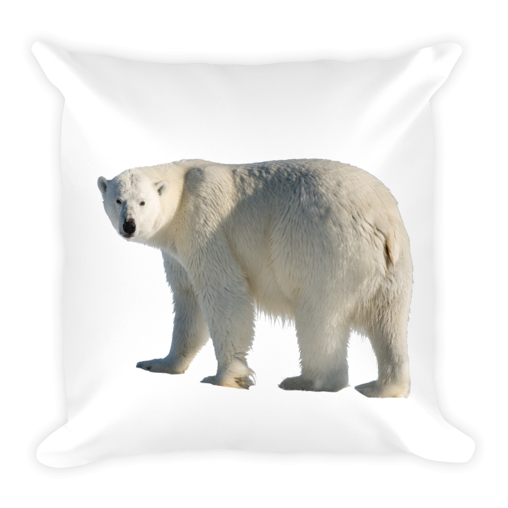 Polar-Bear Print Square Pillow