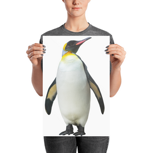 Emperor-Penguin Photo paper poster
